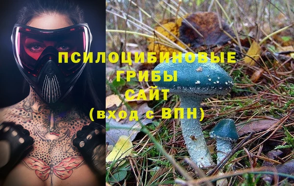 ешки Горнозаводск