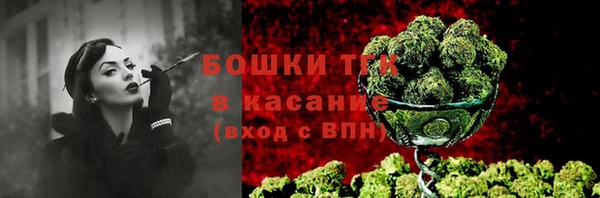шишки Горно-Алтайск