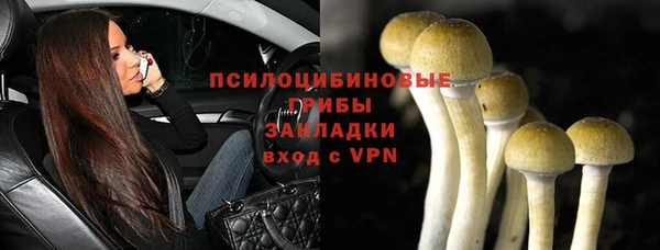 ешки Горнозаводск