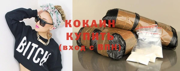 шишки Горно-Алтайск