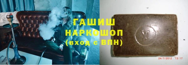шишки Горно-Алтайск