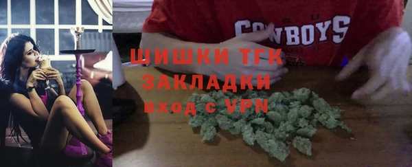 2c-b Горняк
