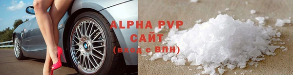 шишки Горно-Алтайск