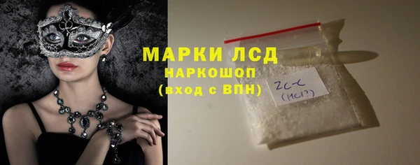 шишки Горно-Алтайск
