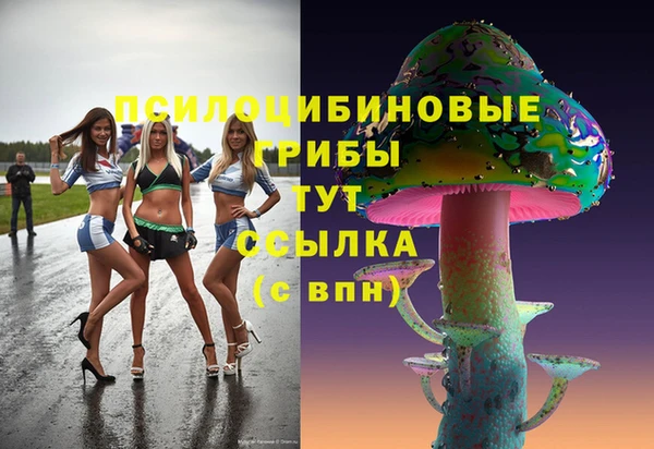 шишки Горно-Алтайск