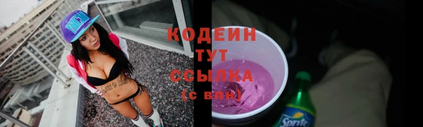 spice Бикин