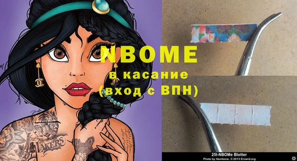 шишки Горно-Алтайск