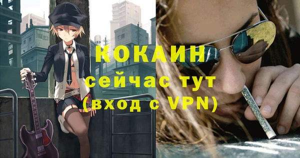 шишки Горно-Алтайск