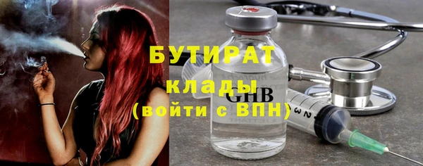 шишки Горно-Алтайск