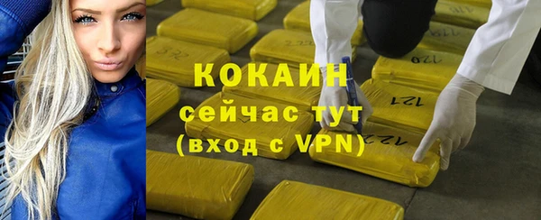 шишки Горно-Алтайск