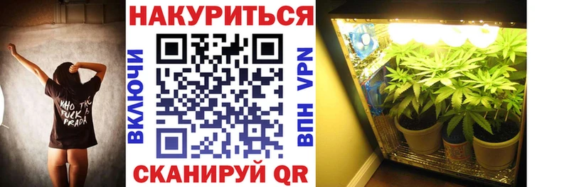 Бошки Шишки конопля Грязи